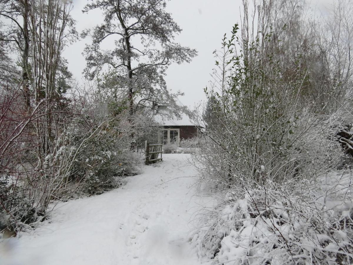 Uylkenshof Safaritenten En Natuurhuisjes Epe Bagian luar foto