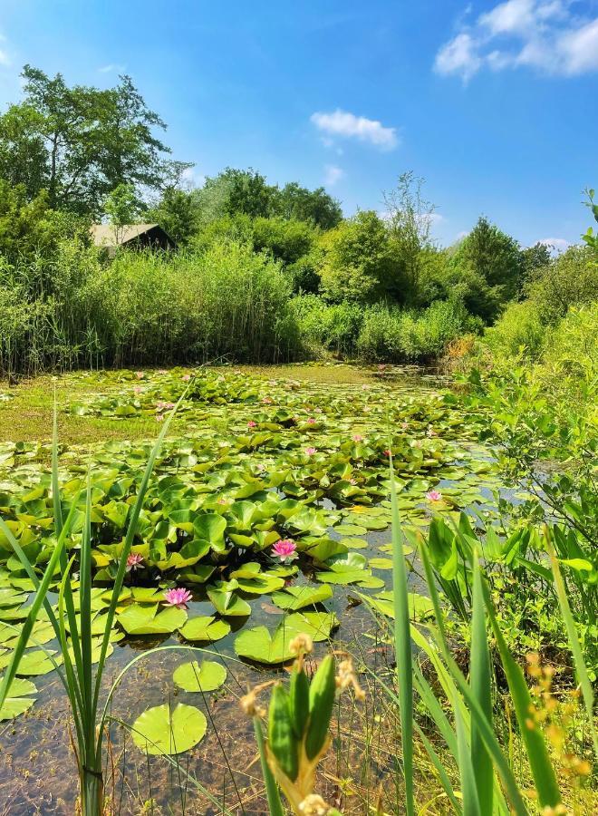 Uylkenshof Safaritenten En Natuurhuisjes Epe Bagian luar foto