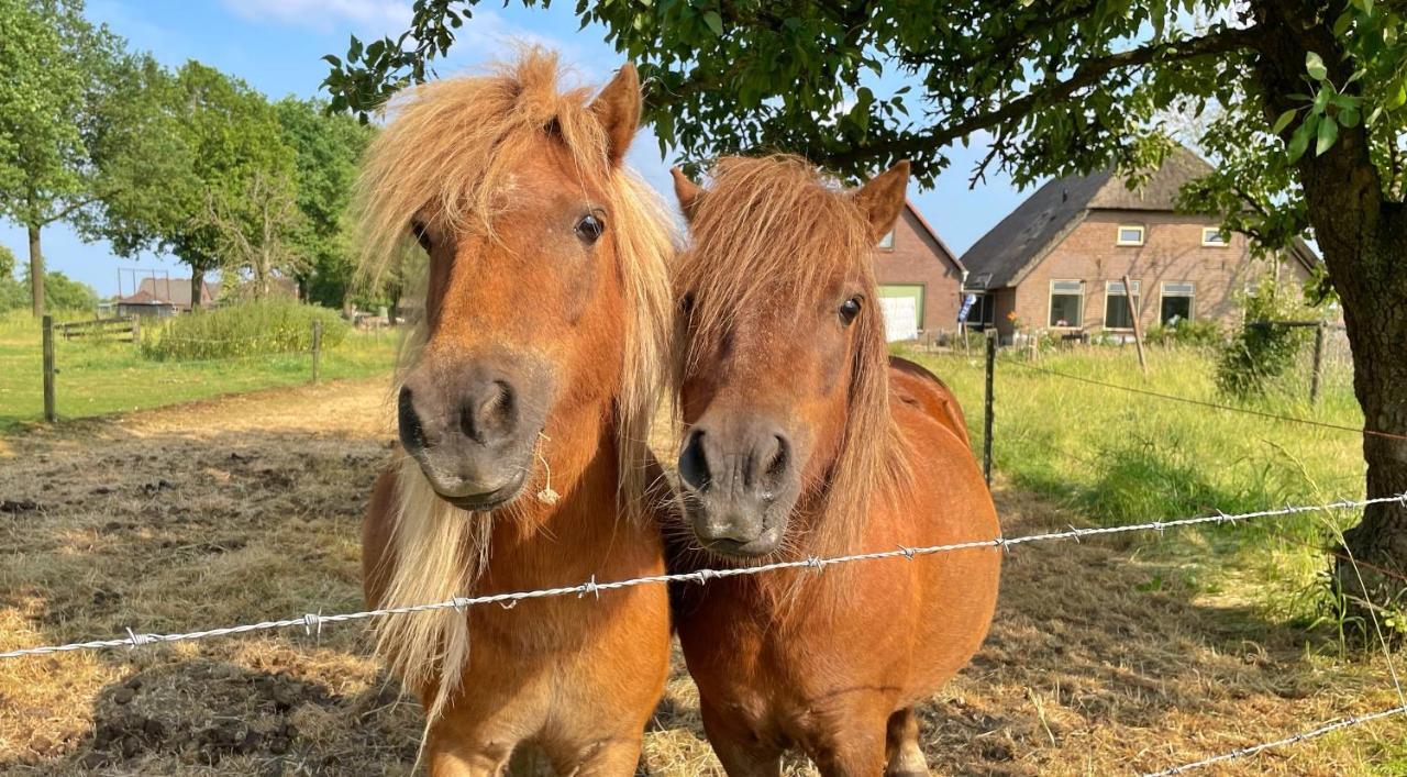 Uylkenshof Safaritenten En Natuurhuisjes Epe Bagian luar foto