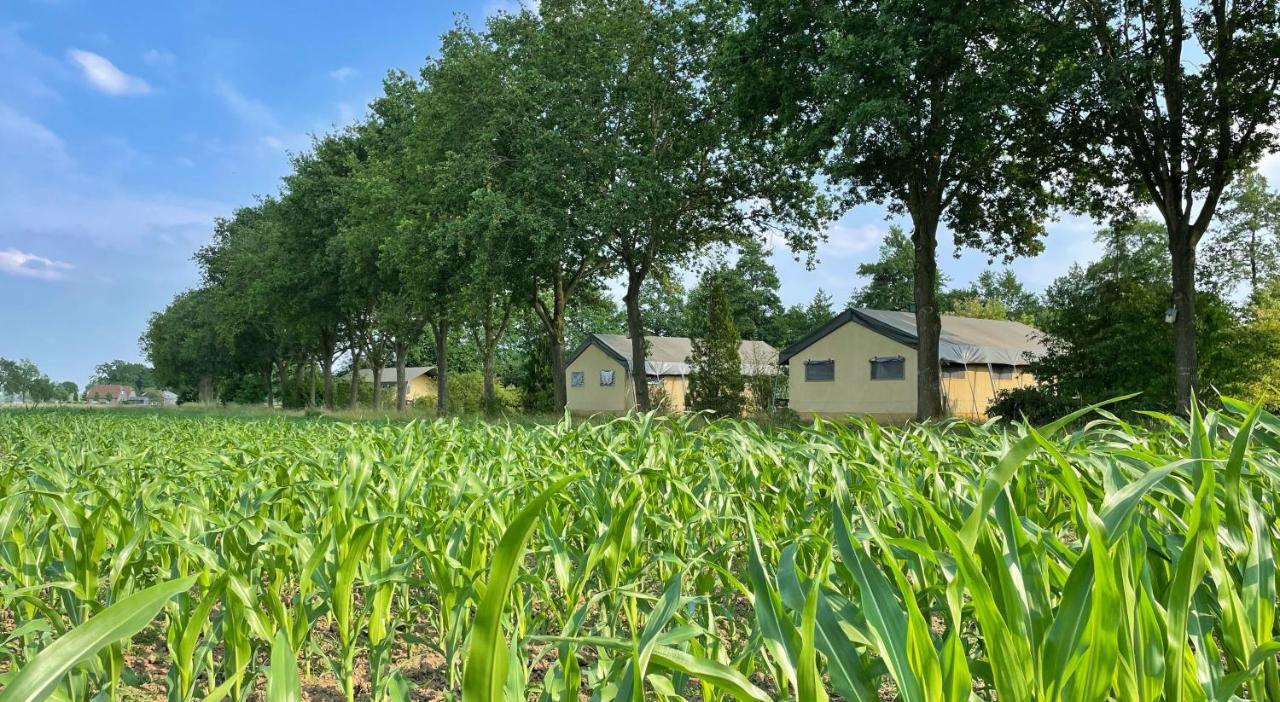 Uylkenshof Safaritenten En Natuurhuisjes Epe Bagian luar foto
